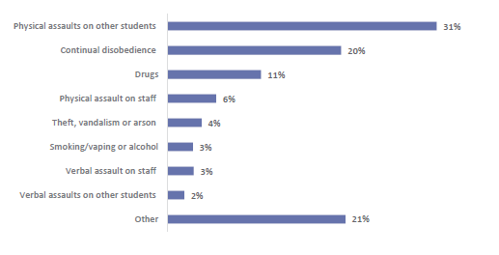 Figure eight shows the percentage of students suspended in 2022 by behaviour category. 31% of students were stood down for ‘physical assaults on other students’; 20% for ‘continual disobedience’; 11% for ‘drugs’; 6% for ‘physical assault on staff’; 4% for ‘theft, vandalism or arson’; 3% for ‘smoking/vaping or alcohol’; 3% for ‘verbal assault on staff’; 2% for ‘verbal assaults on other students’; and 21% for ‘other’.