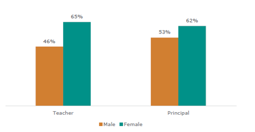 Figure forty-six shows teachers reporting behaviour has a very large/large impact on their stress by gender. 46% of male teachers and 65% of female teachers report behaviour has a very large/large impact on their stress. 53% of male principals and 62% of female principals report behaviour has a very large/large impact on their stress.