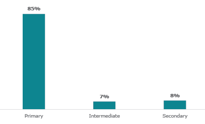 Figure two is a graph of participating schools by type. Eighty-five percent of participating schools are primary schools. Seven percent of participating schools are intermediate schools. Eight percent are secondary schools.