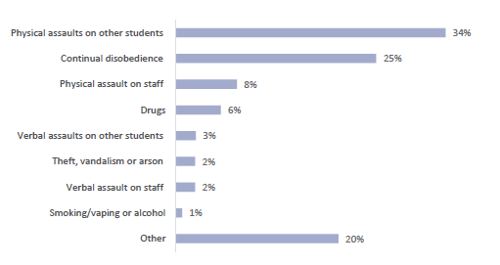 Figure nine shows the percentage of students excluded in 2022 by behaviour category. 34% of students were stood down for ‘physical assaults on other students’; 25% for ‘continual disobedience’; 8% for ‘physical assault on staff’; 6% for ‘drugs’; 3% for ‘verbal assaults on other students’; 2% for ‘theft, vandalism or arson’; 2% for ‘verbal assault on staff’; 1% for ‘smoking/vaping or alcohol’; and 20% for ‘other’.