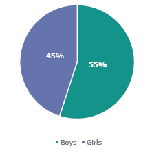 Figure eight is a graph of students accessing Counselling in Schools by gender. Fifty-five percents of students who access Counselling in Schools are boys while forty-five percent are girls.