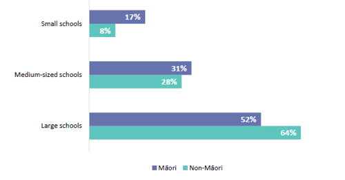 Figure 48 is a graph showing the sizes of schools where Māori and non-Māori new teachers are based.  17% of Māori new teachers work in small schools while 8% of non-Māori work in small schools. 31% of Māori new teachers work in medium-sized schools while 28% of non-Māori work in medium-sized schools. And, 52% of Māori new teachers work in large schools while 64% of non-Māori work in large schools.